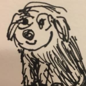 Meet your Posher, Sophie